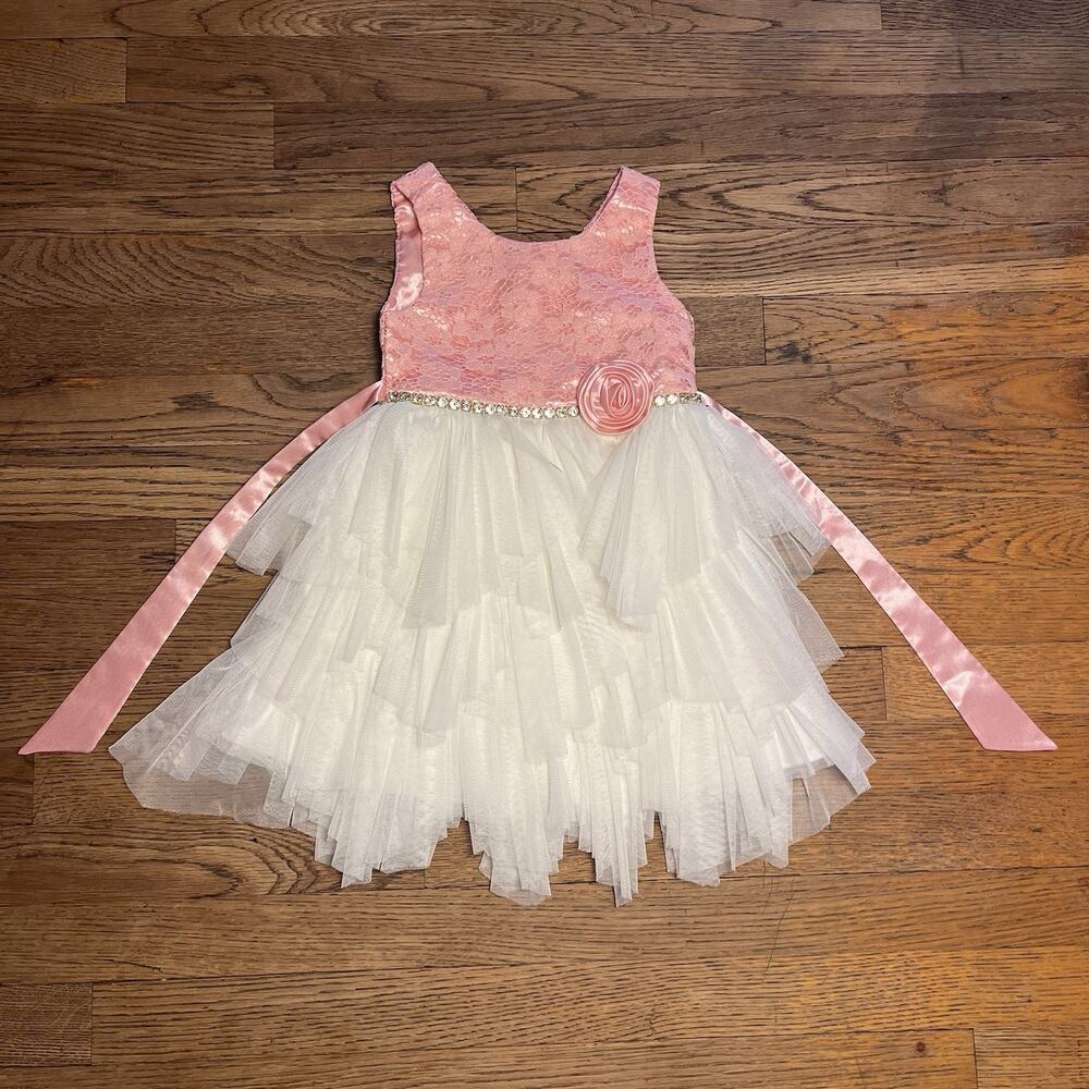 Size 3T Baby Girl Pink White Tulle Dress Jewel Belt Rose Party American Princess - Picture 3 of 16